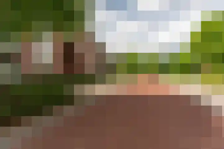 Binnentuinlaan 3 Vleuten thumbnail 31