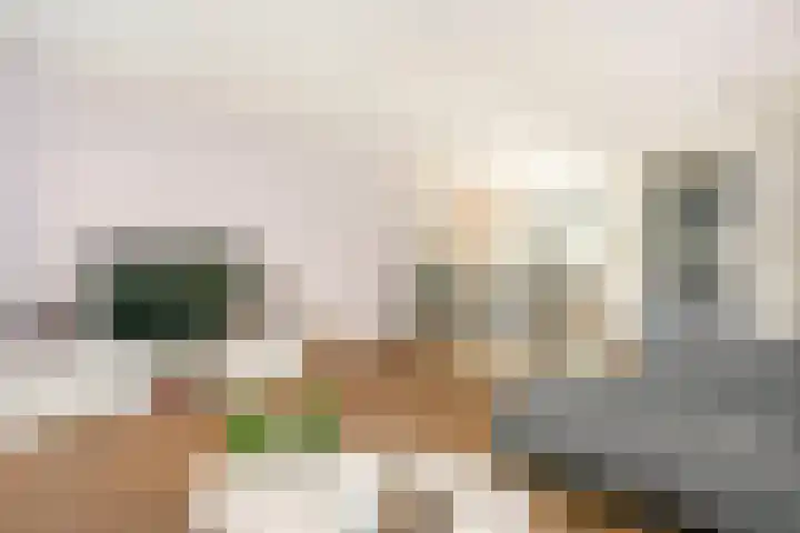 Binnentuinlaan 3 Vleuten thumbnail 4
