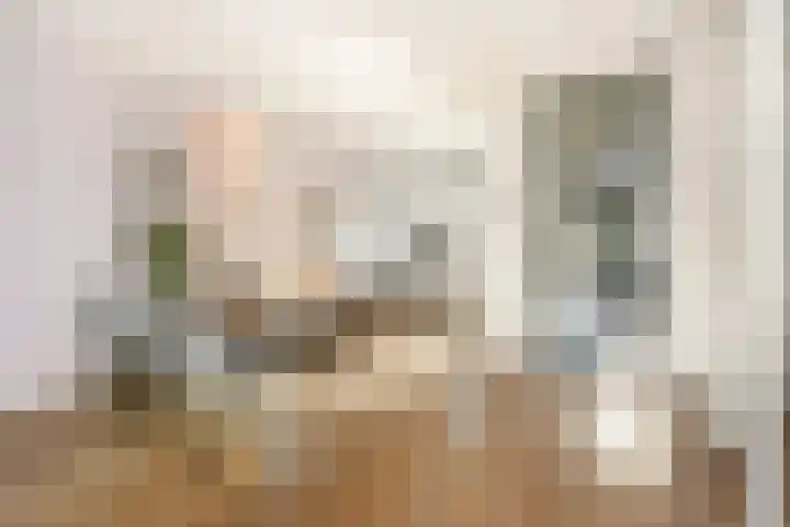 Binnentuinlaan 3 Vleuten thumbnail 9