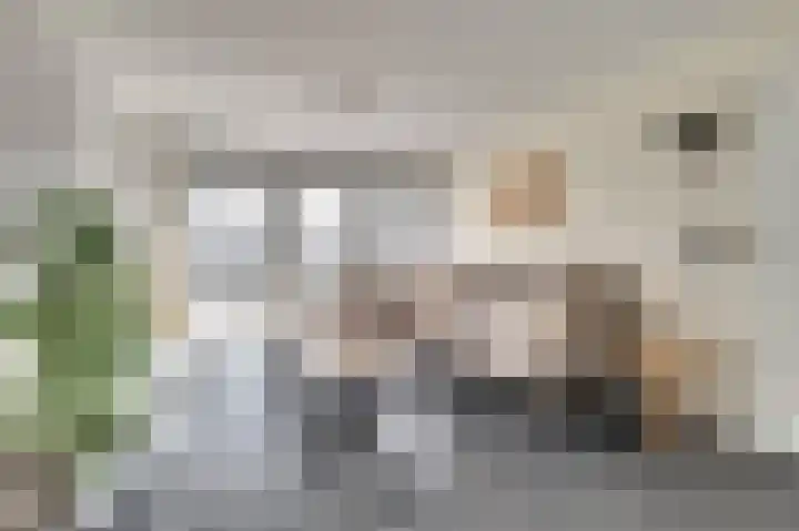 Binnenvaart 14 Beuningen Gld thumbnail 6