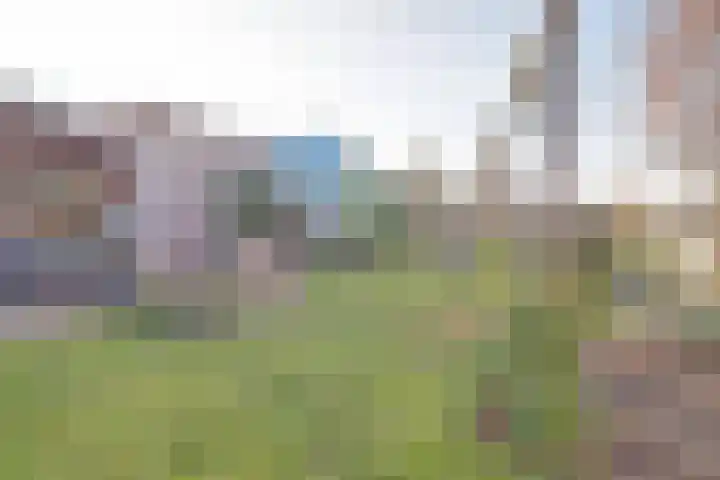 Binnenvaart 14 Beuningen Gld thumbnail 61