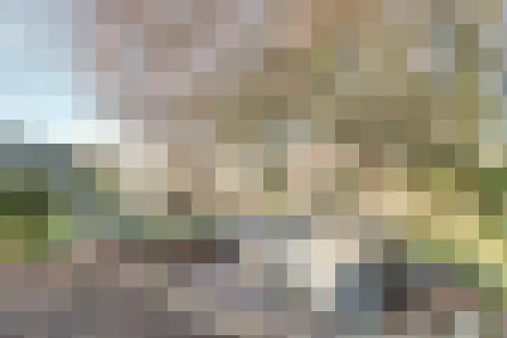 Binnenvaart 14 Beuningen Gld thumbnail 66