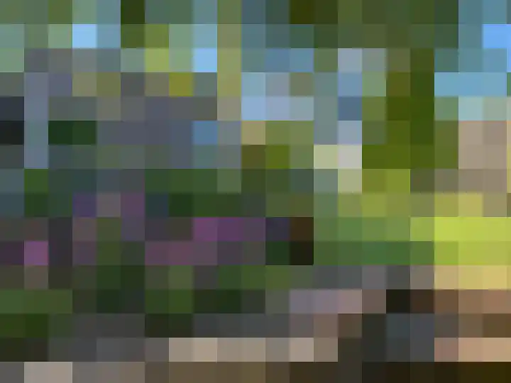 Binnenvaart 14 Beuningen Gld thumbnail 67