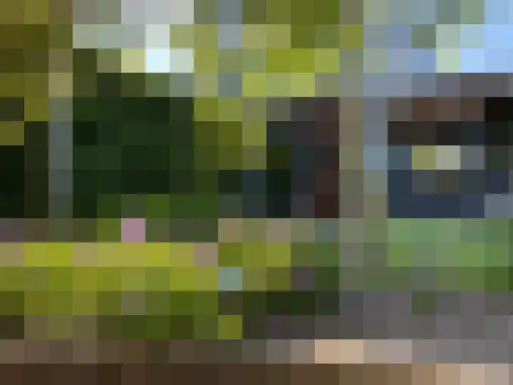 Binnenvaart 14 Beuningen Gld thumbnail 68