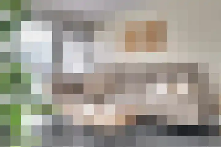 Binnenvaart 14 Beuningen Gld thumbnail 8