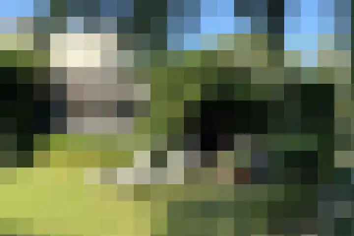 Binnenvaart 19 Beuningen Gld thumbnail 44