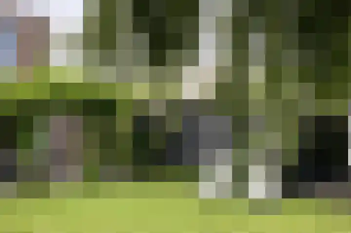 Binnenvaart 19 Beuningen Gld thumbnail 46