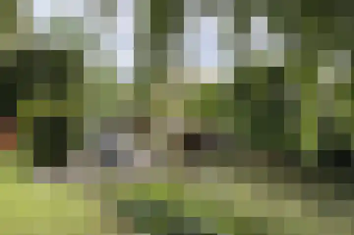 Binnenvaart 19 Beuningen Gld thumbnail 48