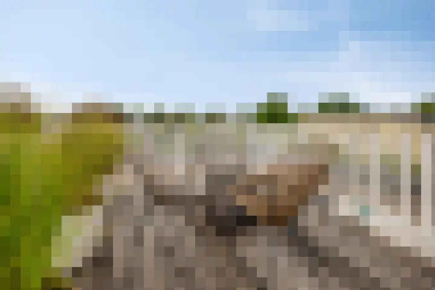 Binnenvaart 23 Beuningen Gld thumbnail 39