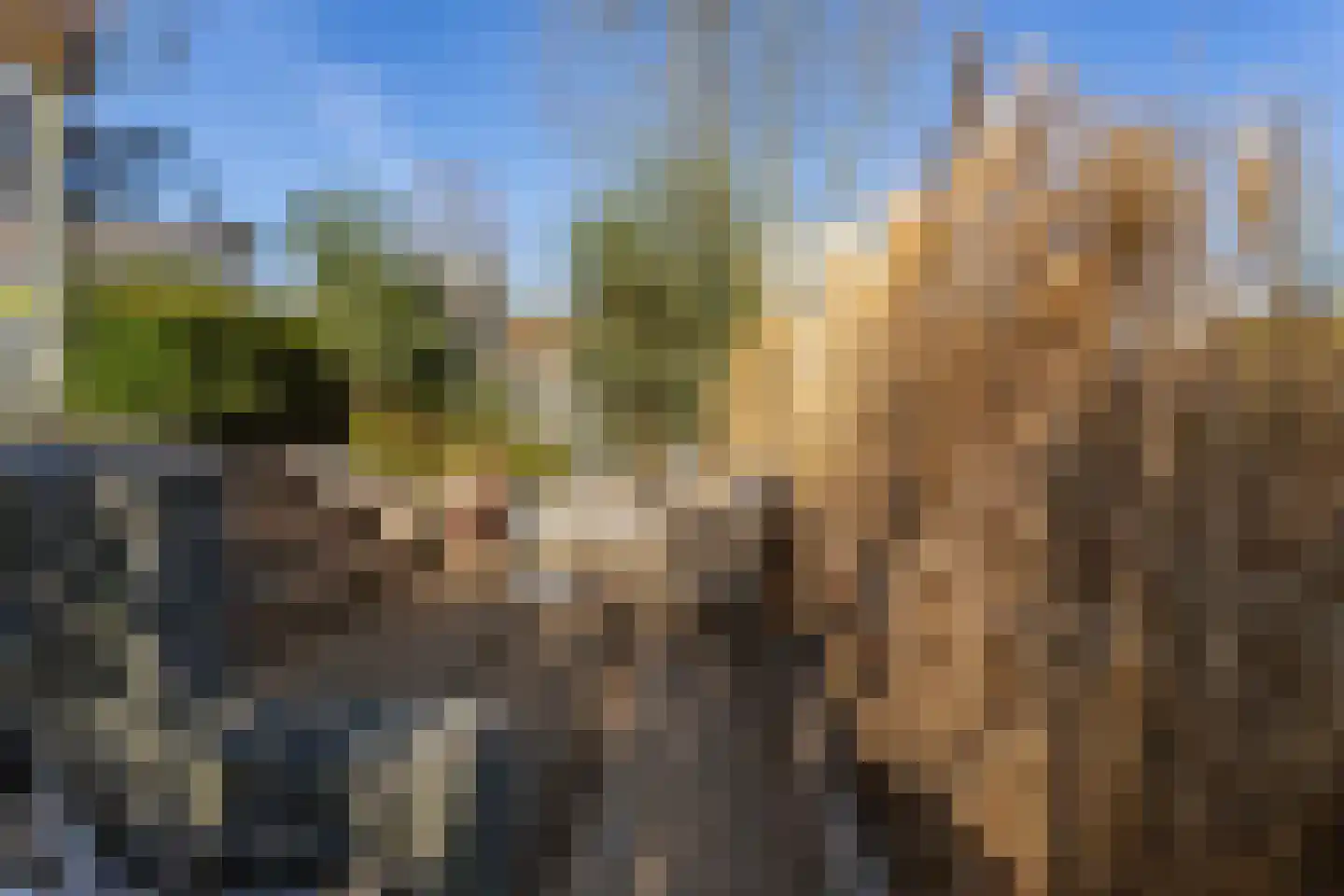 Binnenvaart 27 Beuningen Gld thumbnail 17