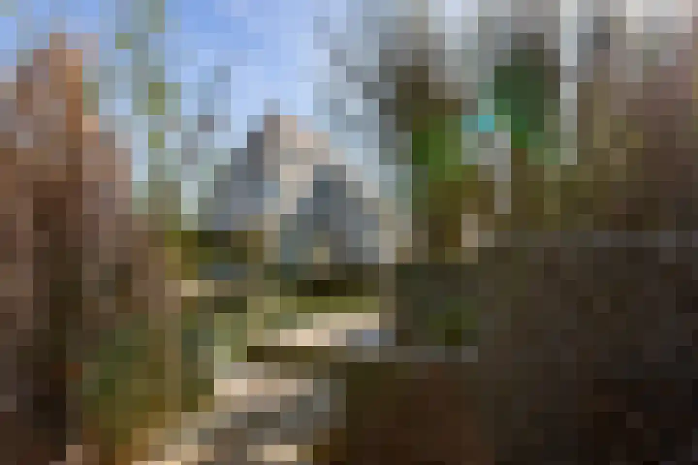 Binnenvaart 27 Beuningen Gld thumbnail 20