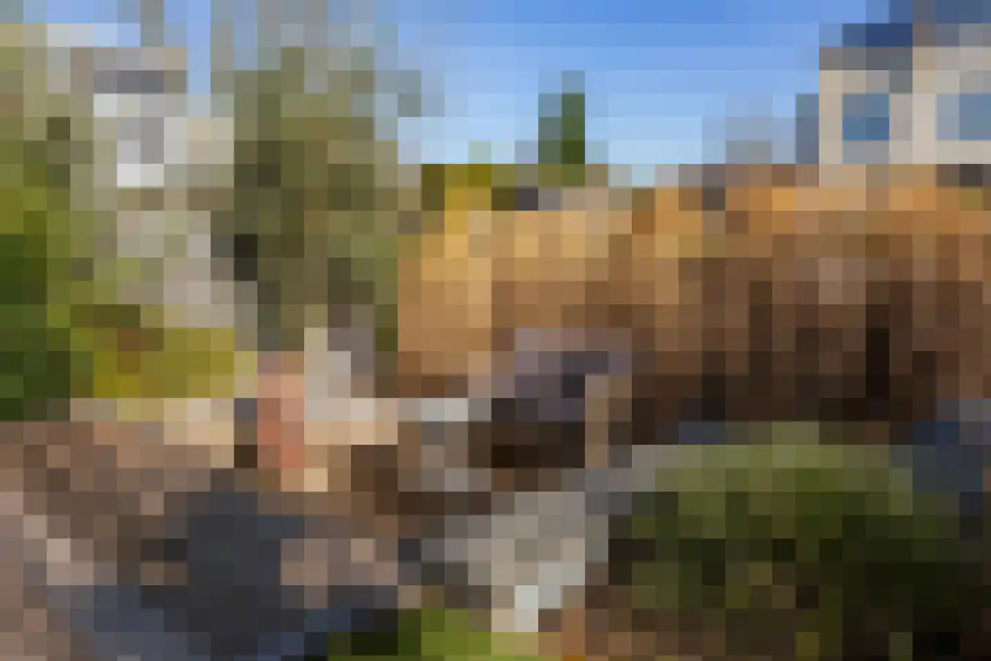 Binnenvaart 27 Beuningen Gld thumbnail 21