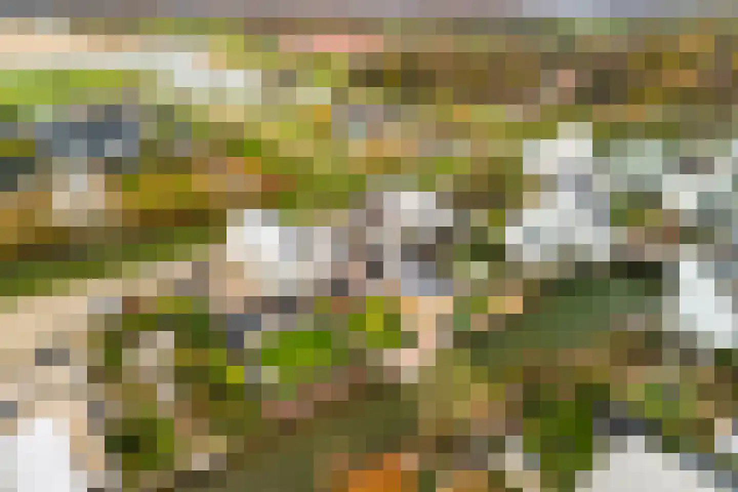 Binnenvaart 27 Beuningen Gld thumbnail 42