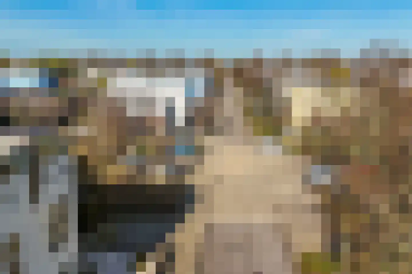 Binnenvaart 27 Beuningen Gld thumbnail 45