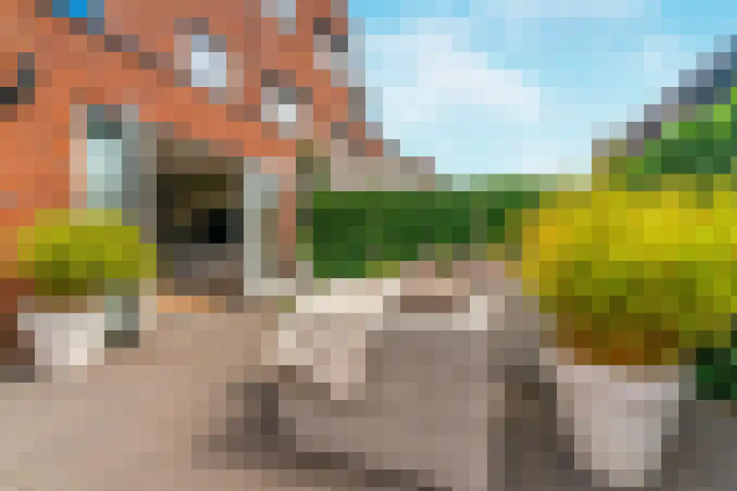 Binnenvaart 67 Arnhem thumbnail 45