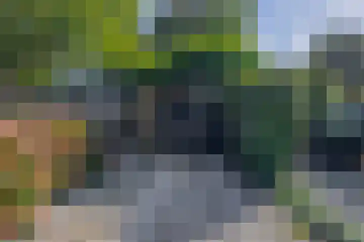 Binnenveen 13 Nijeveen thumbnail 33