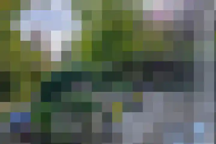 Binnenveen 13 Nijeveen thumbnail 35
