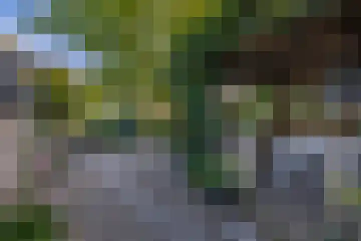 Binnenveen 13 Nijeveen thumbnail 39