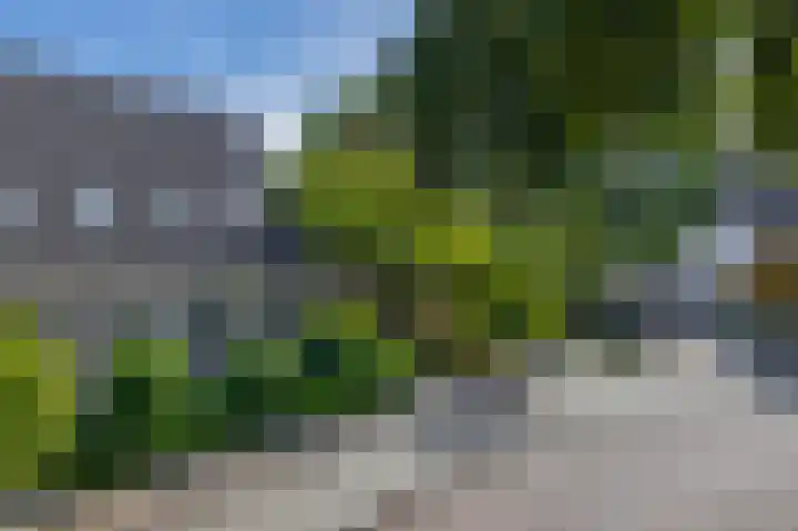 Binnenveen 13 Nijeveen thumbnail 4