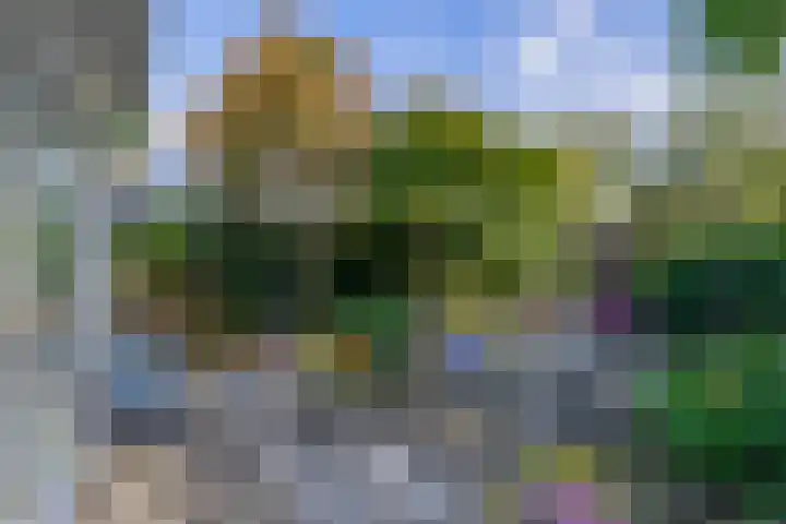 Binnenveen 13 Nijeveen thumbnail 42