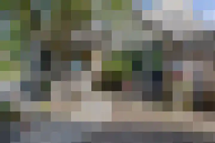 Binnenveen 13 Nijeveen thumbnail 5