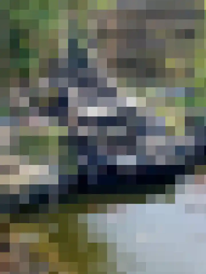 Binnenveen 13 Nijeveen thumbnail 58