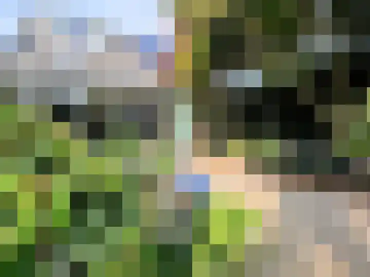 Binnenveen 13 Nijeveen thumbnail 65