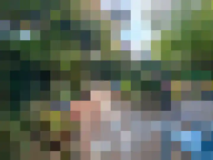 Binnenveen 13 Nijeveen thumbnail 69