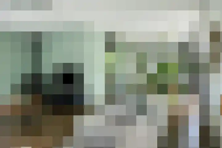 Binnenveen 26 Nijeveen thumbnail 10