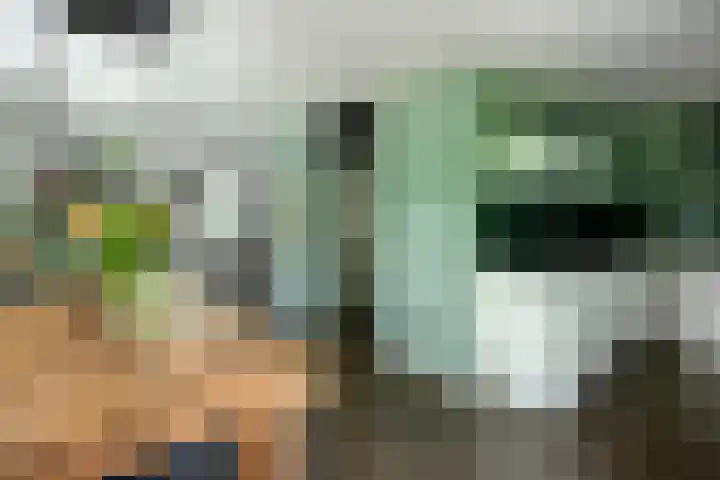 Binnenveen 26 Nijeveen thumbnail 12