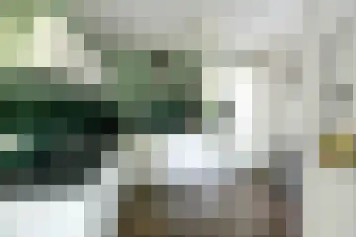 Binnenveen 26 Nijeveen thumbnail 13