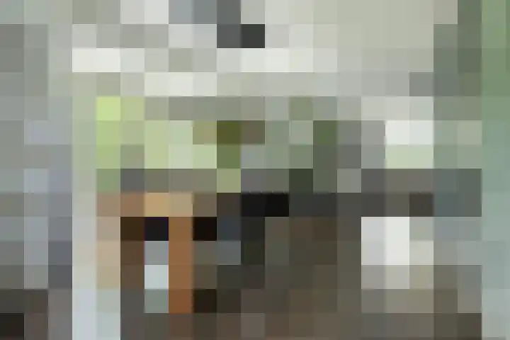 Binnenveen 26 Nijeveen thumbnail 15