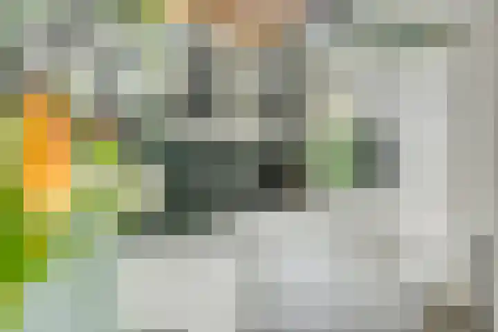 Binnenveen 26 Nijeveen thumbnail 20