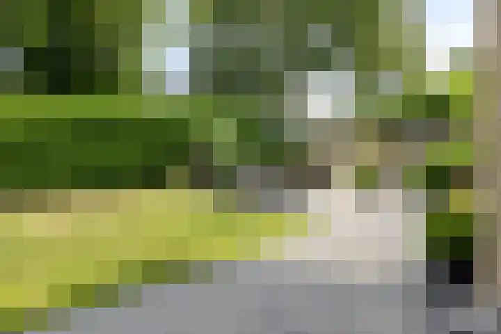 Binnenveen 26 Nijeveen thumbnail 31