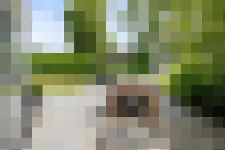 Binnenveen 26 Nijeveen thumbnail 32