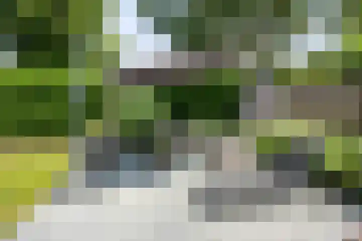 Binnenveen 26 Nijeveen thumbnail 33