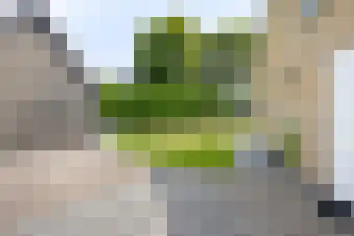 Binnenveen 26 Nijeveen thumbnail 35