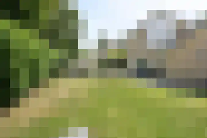 Binnenveen 26 Nijeveen thumbnail 36