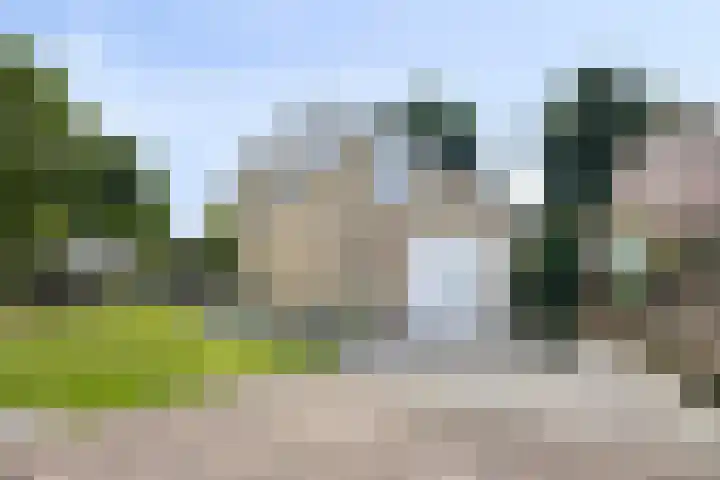 Binnenveen 26 Nijeveen thumbnail 38