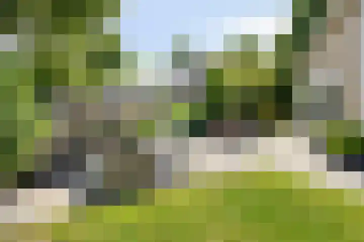 Binnenveen 26 Nijeveen thumbnail 39