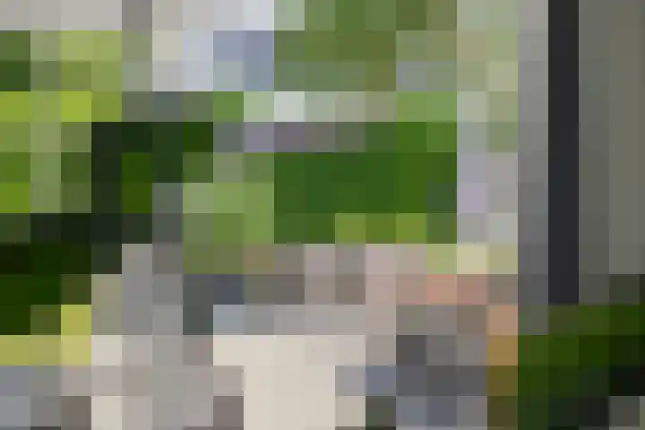 Binnenveen 26 Nijeveen thumbnail 40