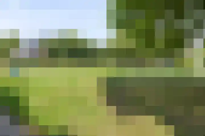 Binnenveen 26 Nijeveen thumbnail 41
