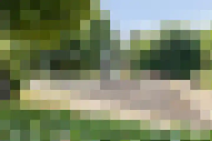 Binnenveen 26 Nijeveen thumbnail 42