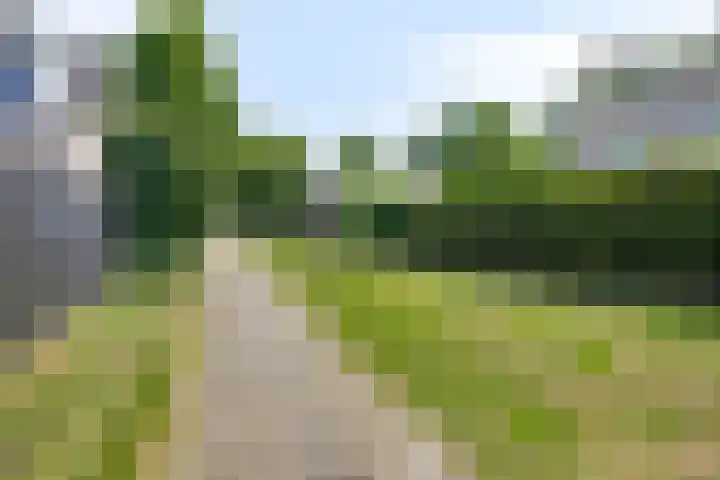 Binnenveen 26 Nijeveen thumbnail 43
