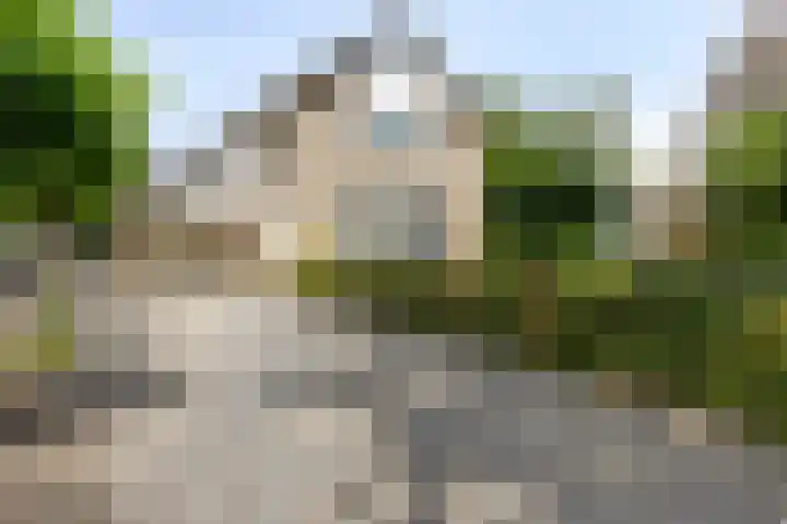 Binnenveen 26 Nijeveen thumbnail 45