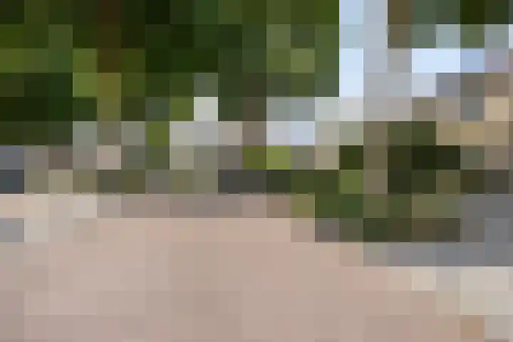 Binnenveen 26 Nijeveen thumbnail 46