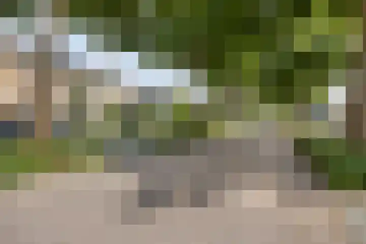 Binnenveen 26 Nijeveen thumbnail 47