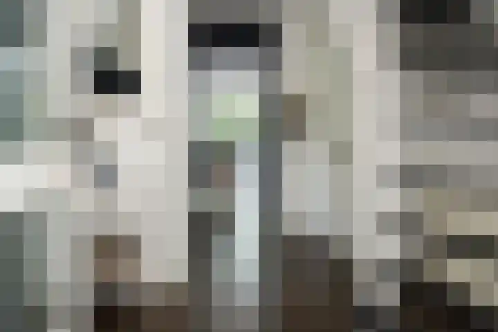 Binnenveen 26 Nijeveen thumbnail 5