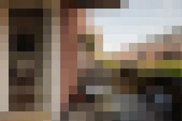 Binnenveld 23 Vorstenbosch thumbnail 20