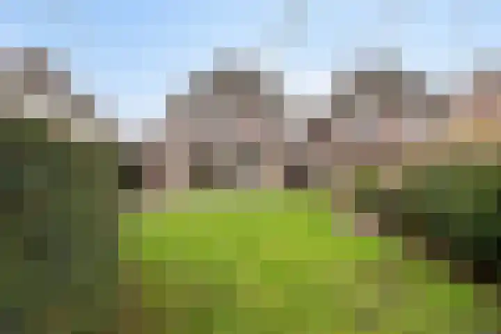 Binnenveld 23 Vorstenbosch thumbnail 4